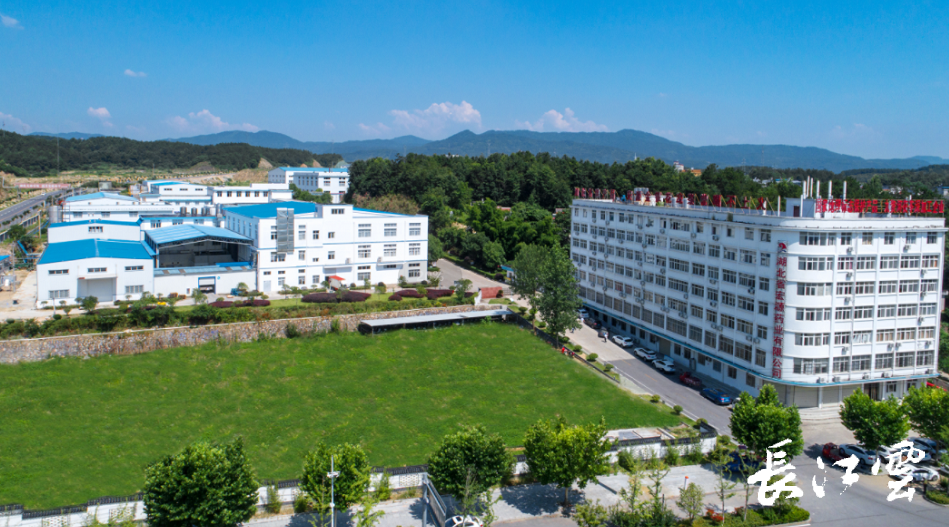 宏源药业:6000吨/年产高纯晶体六氟磷酸锂改扩建项目正在建设中