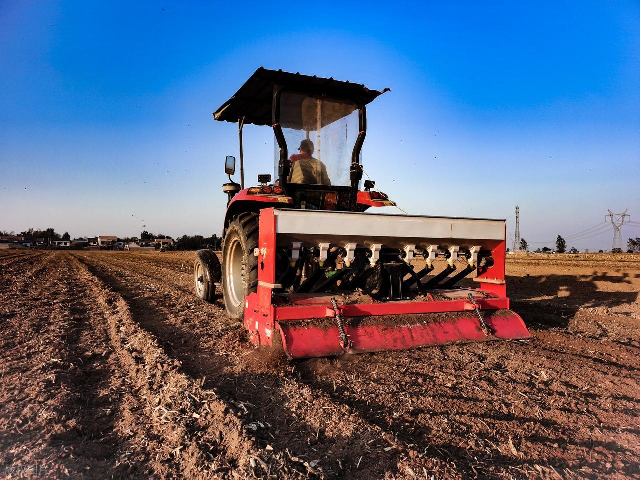 阿尔及利亚推进农业生产项目以提升粮食安全水平