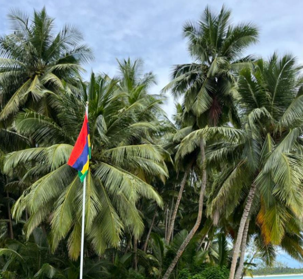 中国暂停阿根廷阿雷贝夫肉类加工厂对华出口