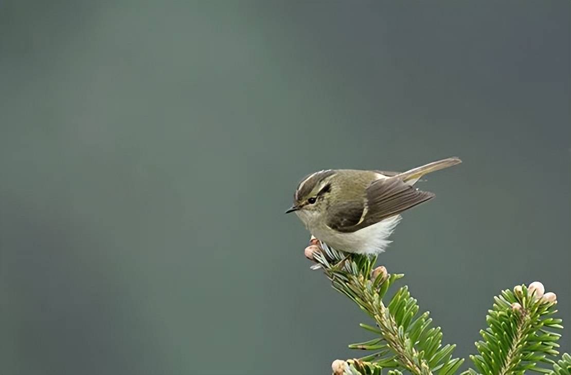 立方风控鸟·晚报（4月13日）