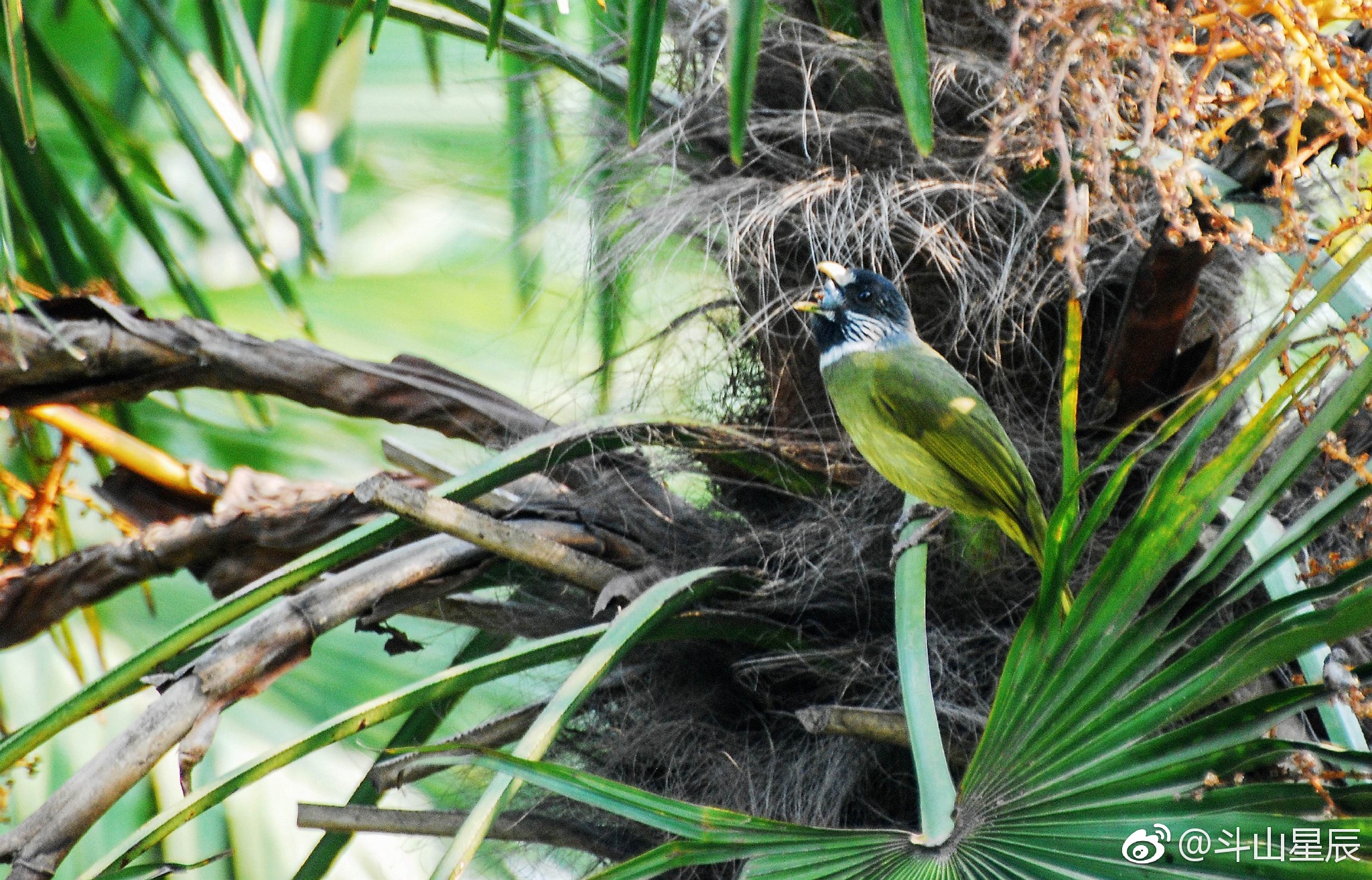 立方风控鸟·晚报（4月13日）