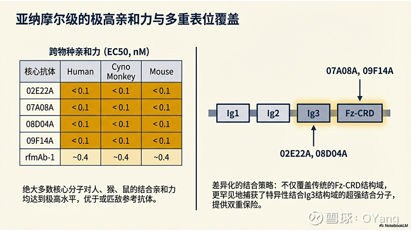 迈威生物(688062.SH)：关于注射用6MW5311临床试验申请获得国家药品监督管理局受理
