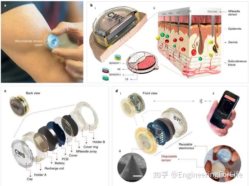 湖南裕能获得发明专利授权：“多孔碳负载金属氧化物修饰的磷酸铁锂正极材料及其制备方法”