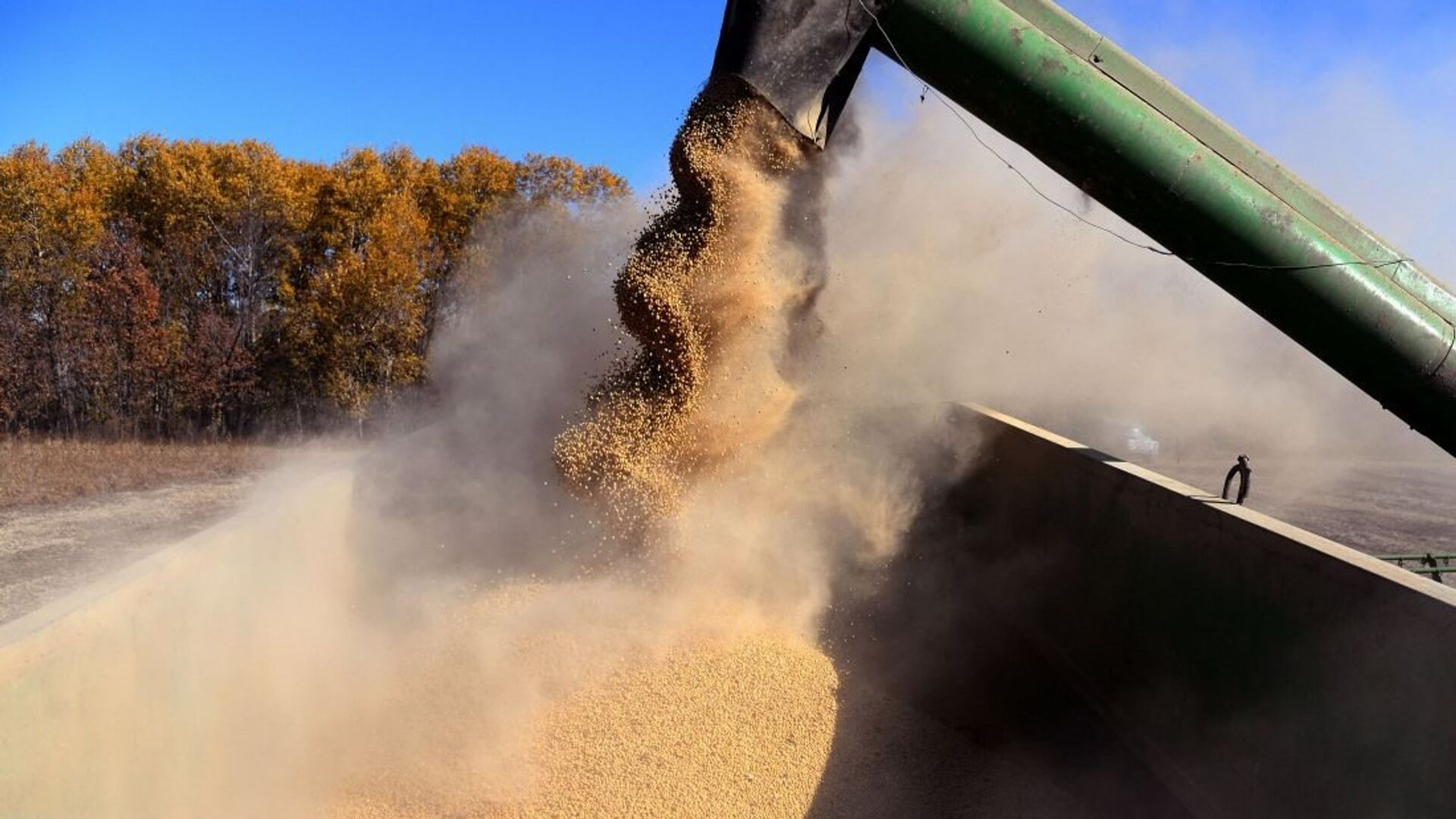 阿根廷本地大豆价格大幅下跌