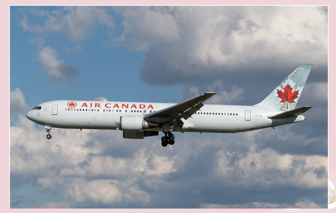 加拿大主要航空公司因能源危机延长古巴航班停飞期限