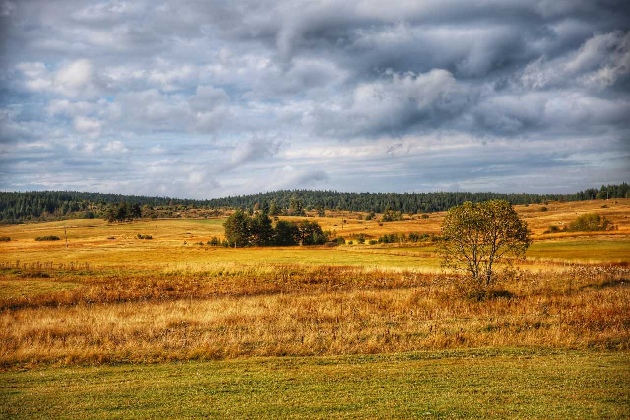 波黑首届军工展“2026第一巴尔干之盾”将在萨拉热窝举行