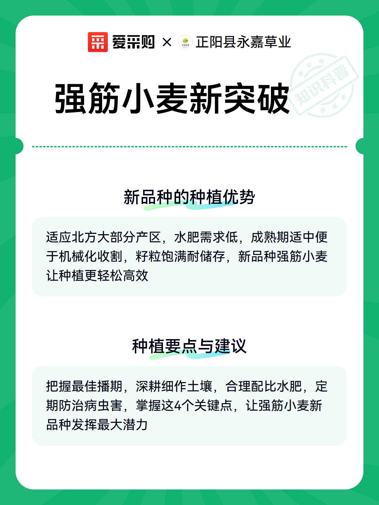 我国科学家揭示小麦品质育种新路径