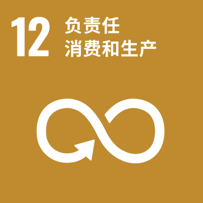 赤几参加联合国经社理事会发展筹资后续行动论坛